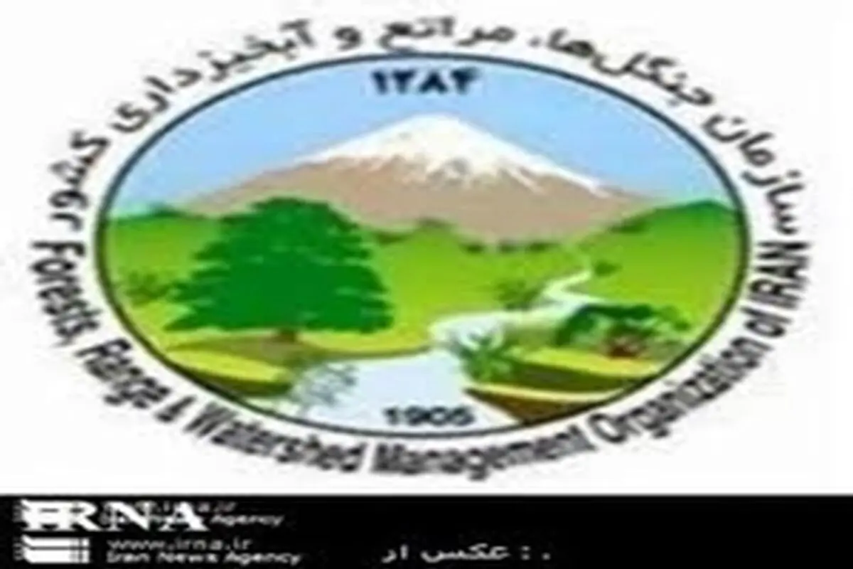 ایران از ۱۵۶ کشور دارای جنگل، رتبه پنجم را به خود اختصاص داده است