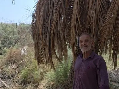 نخلداران خوزستانی سیاهپوش مرگ عزیزانشان شدند