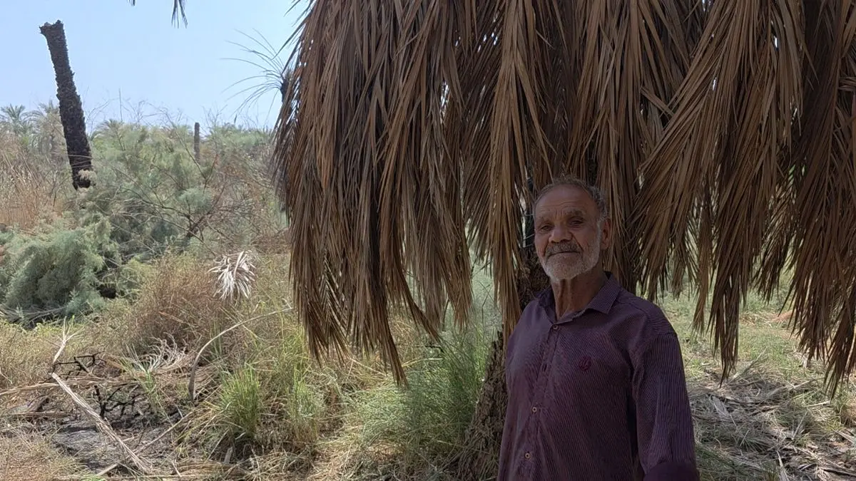 نخلداران خوزستانی سیاهپوش مرگ عزیزانشان شدند