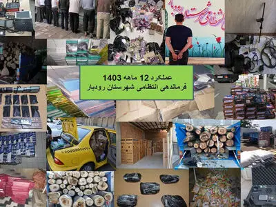 کشف ۳۲۴ فقره سرقت طی یک سال گذشته در شهرستان رودبار/ ۵۷۹ سارق دستگیرشدند