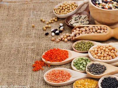 رشد 37 درصدی تولید حبوبات در دولت یازدهم