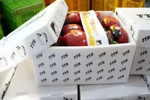 نقش حیاتی صادرات در پایداری تولید / صادرات بیش از ۷۸۰۰  تن محصولات کشاورزی هرمزگان از ابتدای جنگ تحمیلی