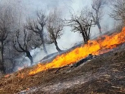 مهار آتش‌سوزی در زیستگاه‌های طبیعی ارتفاعات سرکش شهرستان گیلانغرب