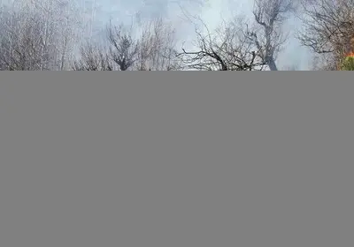 مهار آتش‌سوزی در زیستگاه‌های طبیعی ارتفاعات سرکش شهرستان گیلانغرب