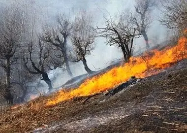مهار آتش‌سوزی در زیستگاه‌های طبیعی ارتفاعات سرکش شهرستان گیلانغرب