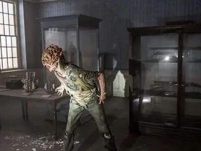 شیوع عفونت‌های قارچی آخرالزمانی با گرمای هوا