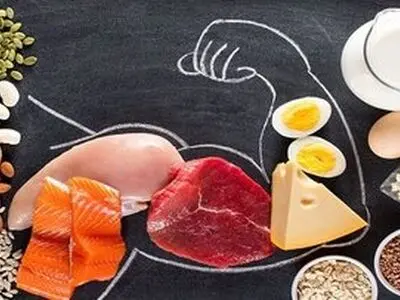 ۱۳ منبع عالی پروتئین برای عضله‌سازی