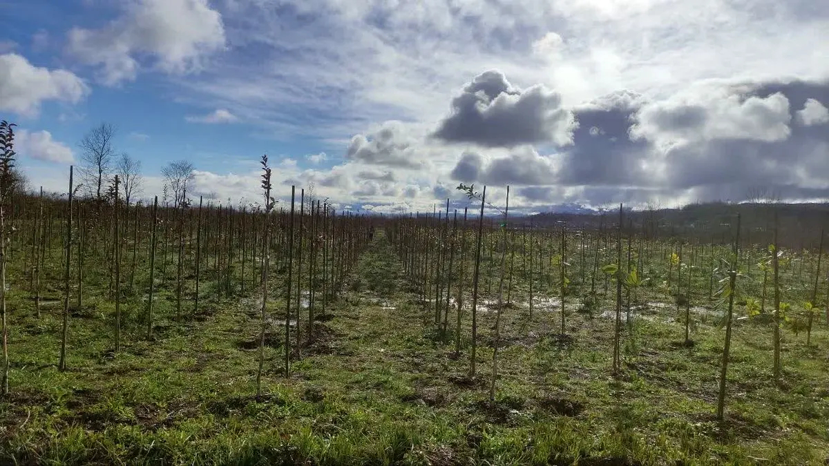 شروع وزش باد گرم از فردا تا پایان هفته