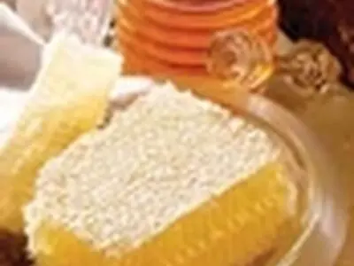 تولید بیش ۳ هزار تن عسل در زنبورستان های استان مازندران