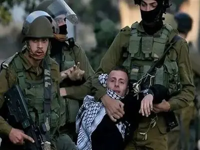  Irish MEP Slams EU for Remaining Silent on Crimes Committed against Palestinians Every Day