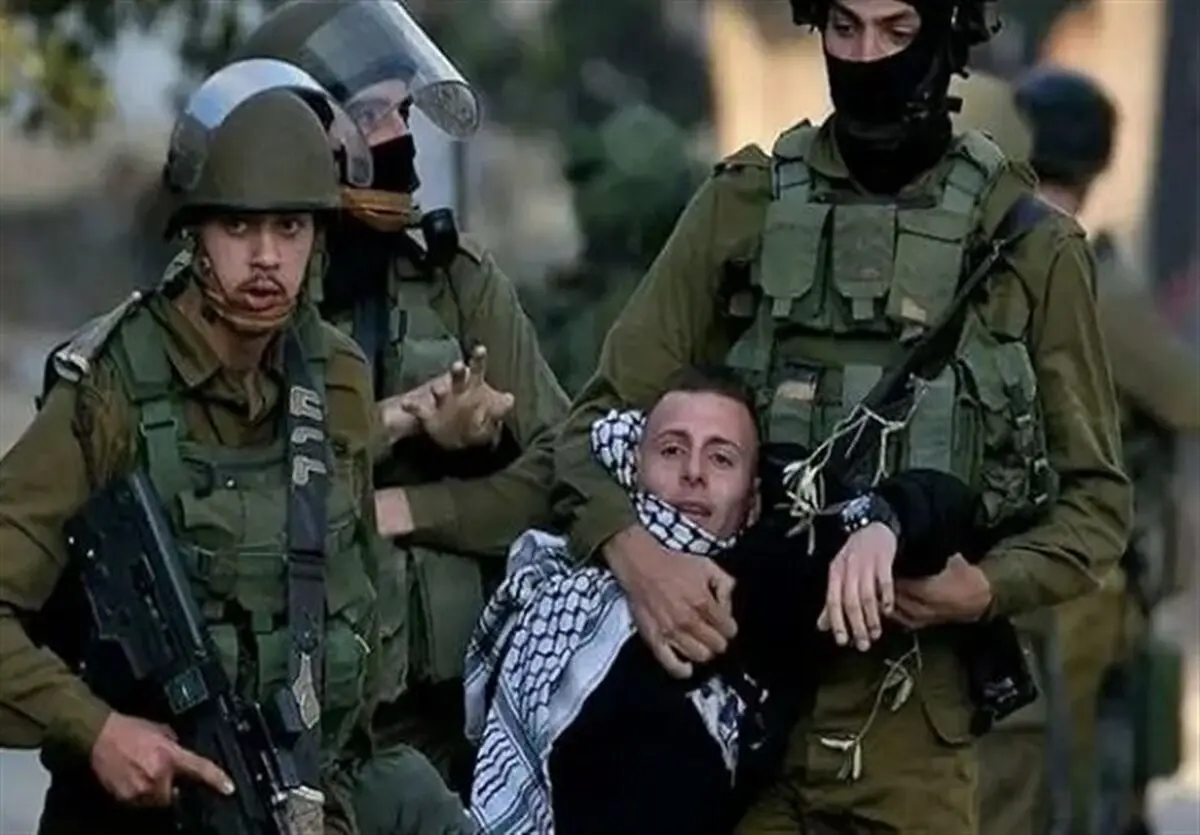  Irish MEP Slams EU for Remaining Silent on Crimes Committed against Palestinians Every Day