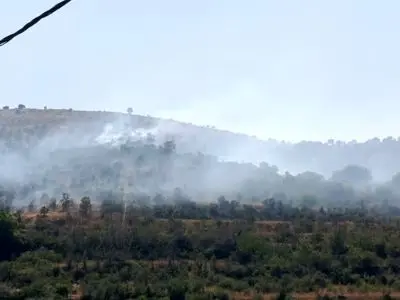 آتش‌سوزی 10 هکتار از باغات و مراتع روستای اسبمرد قزوین را نابود کرد