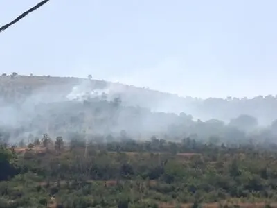 آتش‌سوزی 10 هکتار از باغات و مراتع روستای اسبمرد قزوین را نابود کرد