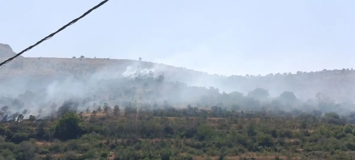 آتش‌سوزی 10 هکتار از باغات و مراتع روستای اسبمرد قزوین را نابود کرد