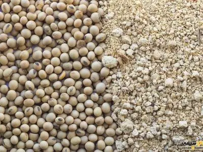 کنجاله سویای تولیدی در داخل کشور کیفیت مناسبی ندارد/ لزوم تامین حداقل 50 درصد نیاز به کنجاله از محصول وارداتی باکیفیت 