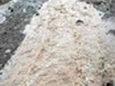 طغیان سیاه درویشان بر اثر استمرار بارندگی در صومعه سرا