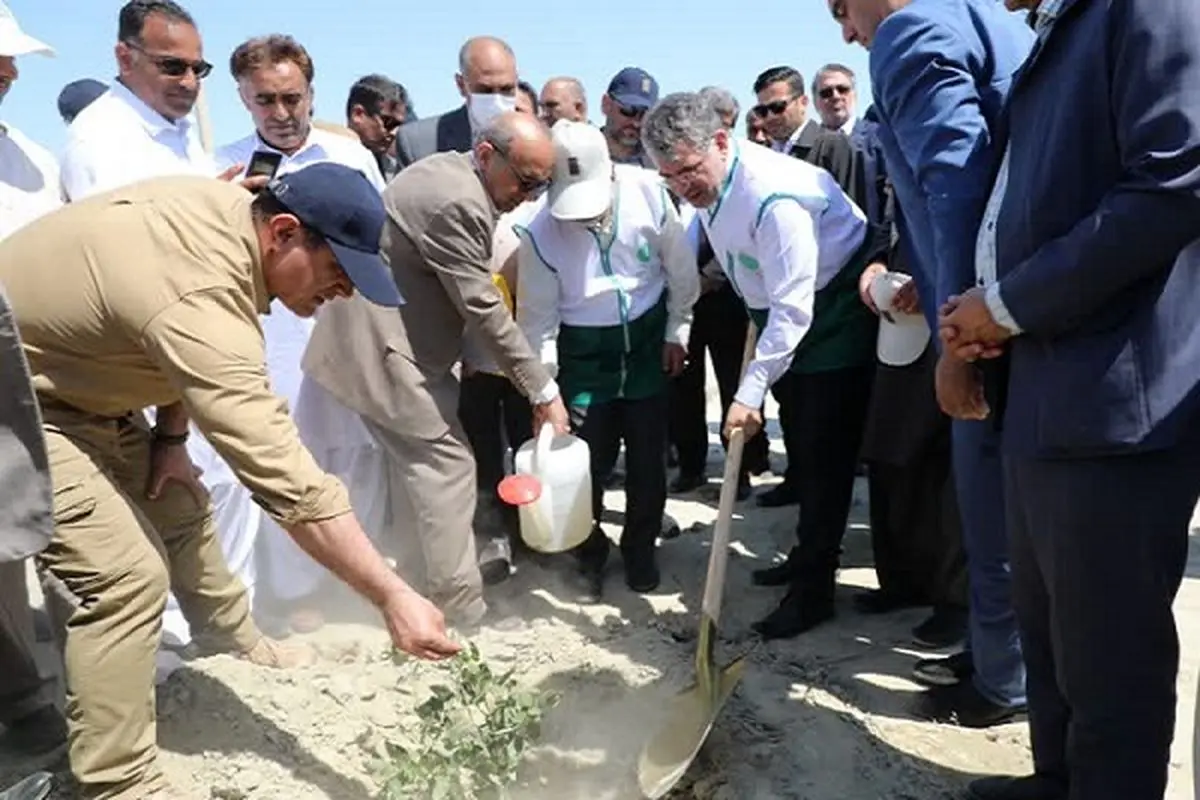 اجرای طرح نهال‌کاری ۷۰۰ هکتاری در کانون بحرانی فرسایش بادی چابهار/ سهم ۱۴ میلیونی سیستان و بلوچستان در طرح کاشت یک میلیارد درخت در ایران 