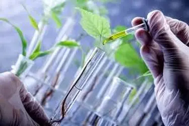 نسخه پشتیبان بانک ژن منابع طبیعی ایران راه‌اندازی شد