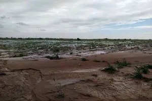 خسارت 500 میلیارد ریالی سیلاب به زیرساخت‌های کشاورزی شهرستان دهلران