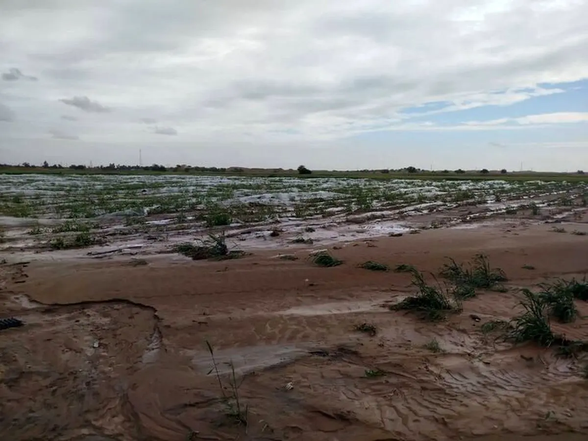 خسارت 500 میلیارد ریالی سیلاب به زیرساخت‌های کشاورزی شهرستان دهلران