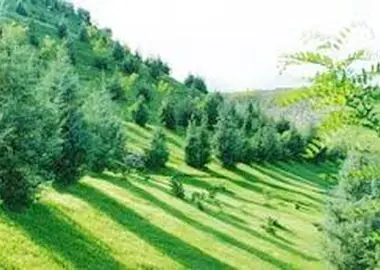 کمربند سبز در محورهای پرتردد مازندران اجرا می‌شود