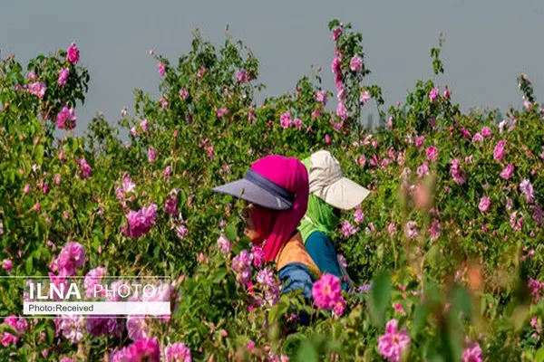 صدور پروانه بهره برداری گردشگری کشاورزی در بوئین‌زهرا