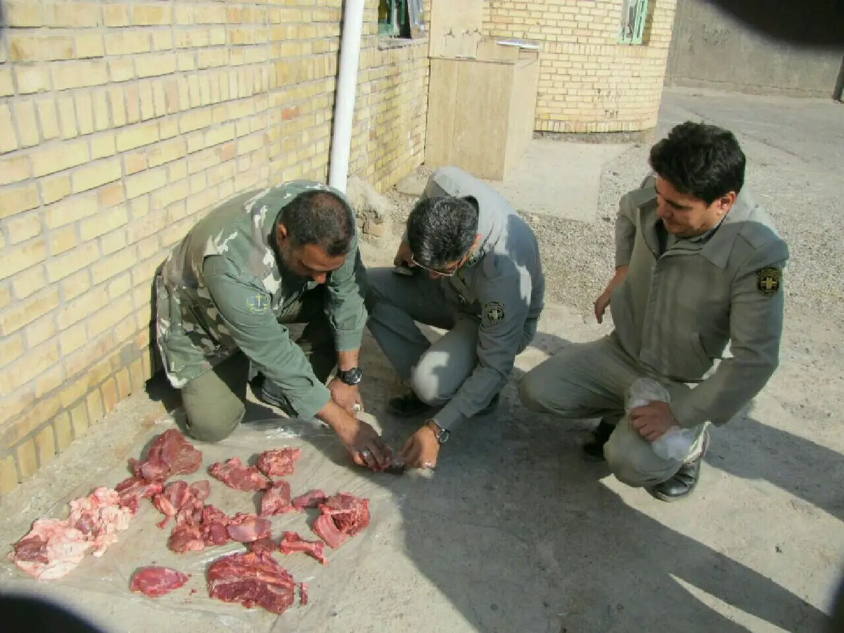 شکارچیان متخلف در تربت جام دستگیر شدند