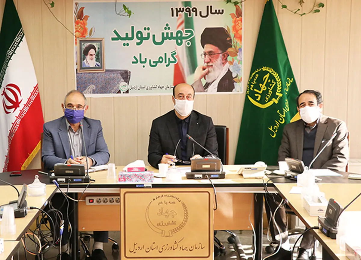 کشت 235هزار هکتار گندم دیم در اراضی استان اردبیل 