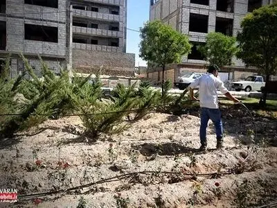 مدیریت منابع آبی فضای سبز شهر نیازمند اقدامات اساسی است