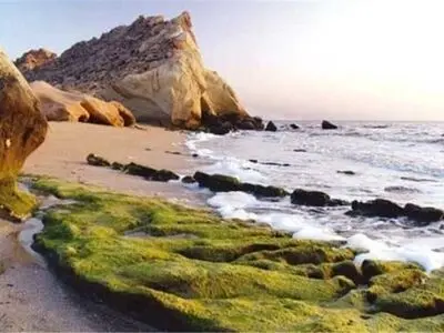 بیانیه برخی فعالان زیست محیطی استان بوشهر برای حفاظت از پارک ملی نایبند
