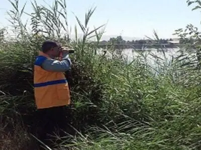کاهش قابل توجه پرندگان مهاجر در استان کرمانشاه
