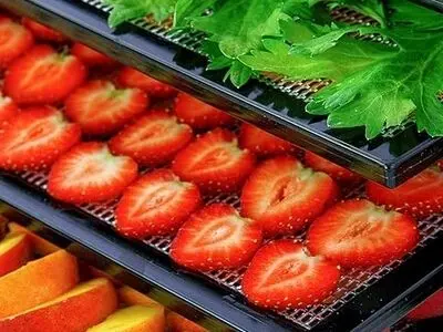 معرفی انواع خشک کن های میوه