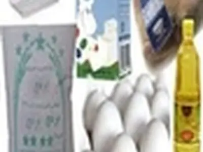 کارکنان دولت نیازی به ارسال پیامک به هیچ سامانه‌ای را ندارند
