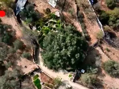 فصل خونین برداشت زیتون در کرانه باختری + فیلم