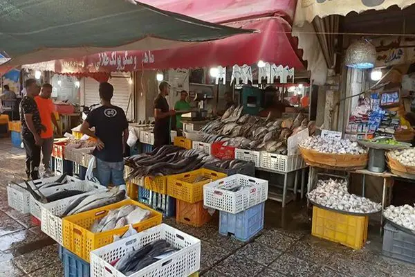 انتقال صنوف دروازه کازرون به بازار پروتئین تا اواسط اردیبهشت ۱۴۰۴ نهایی می‌شود