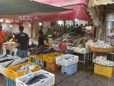 انتقال صنوف دروازه کازرون به بازار پروتئین تا اواسط اردیبهشت ۱۴۰۴ نهایی می‌شود