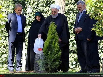 به مناسبت روز درختکاری 