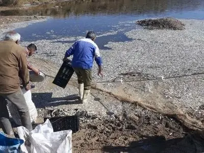 پاکسازی بند فیض‌آباد از لاشه ماهیان تلف شده/ برخورد جدی با مسببین آلودگی رودخانه