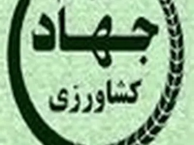 ۱۴۳ هزار هکتار از شالیزارهای مازندران شخم و شیار شد