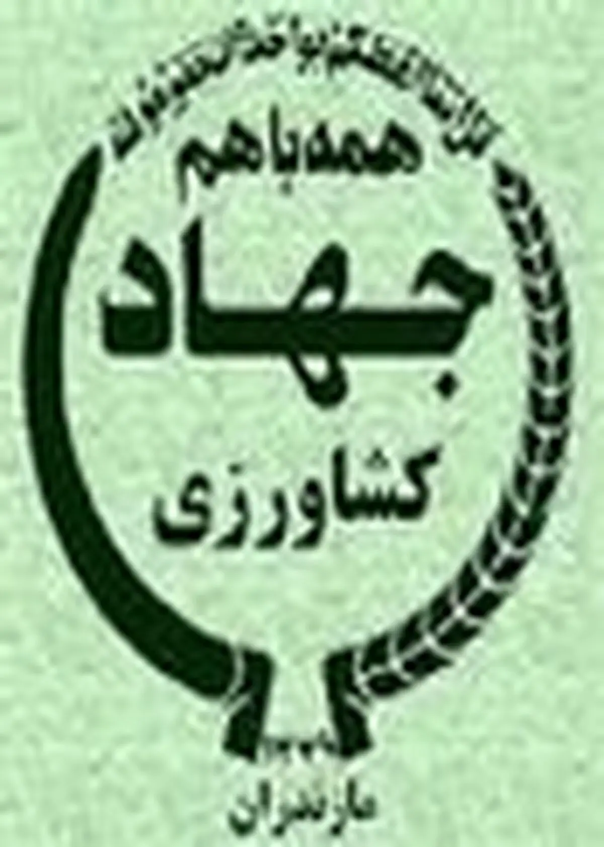 ۱۴۳ هزار هکتار از شالیزارهای مازندران شخم و شیار شد