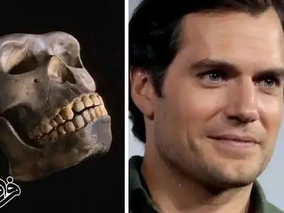 چرا فقط انسان‌ها چانه دارند؟ 