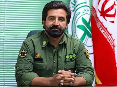 علت نزدیک شدن حیات وحش به مناطق مسکونی تهران/ در صورت مشاهده حیوانات وحشی فیلمبرداری نکنید