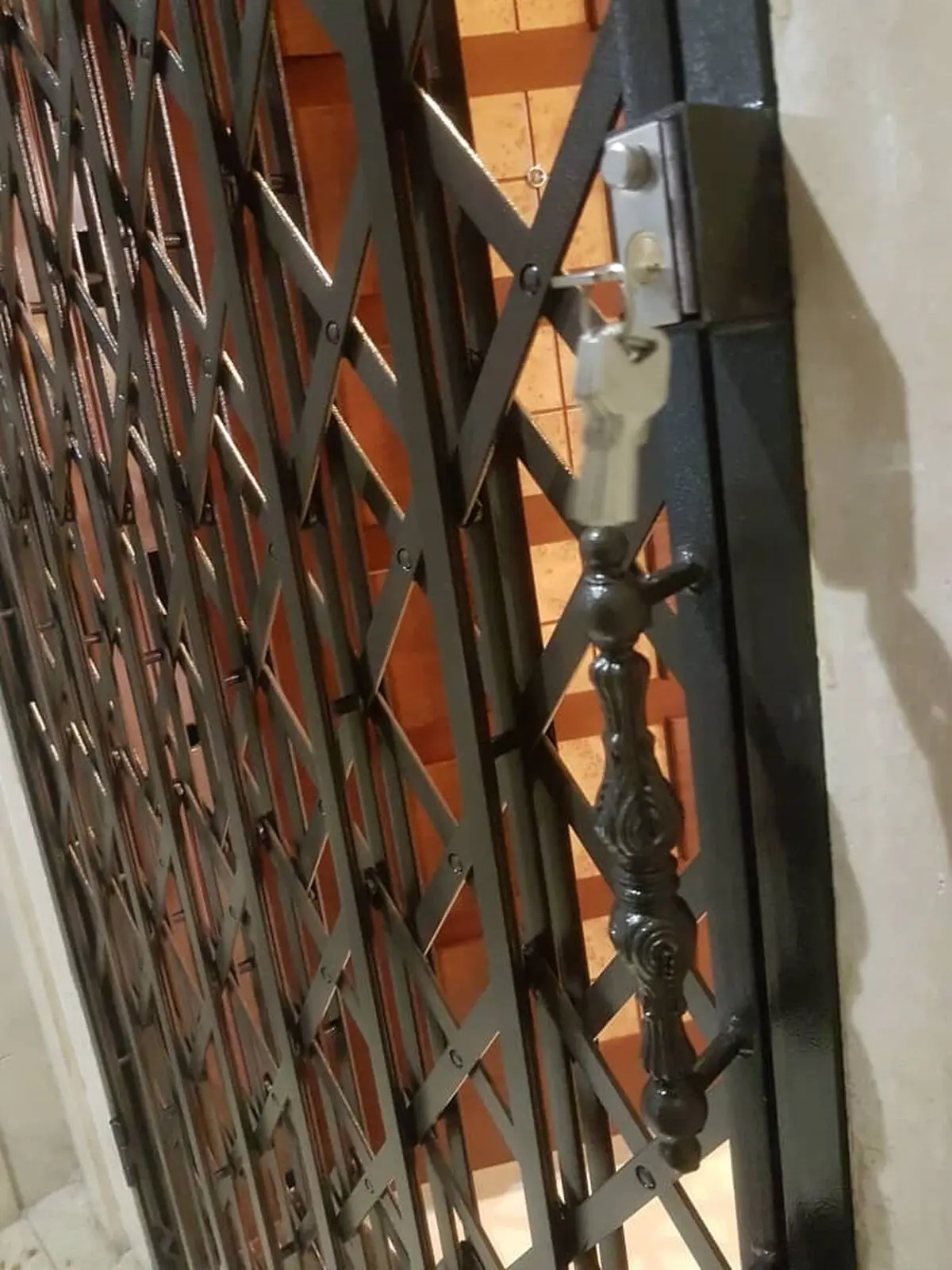 حفاظ آکاردئونی و انواع حفاظ پنجره و حفاظ دیوار شاخ گوزنی