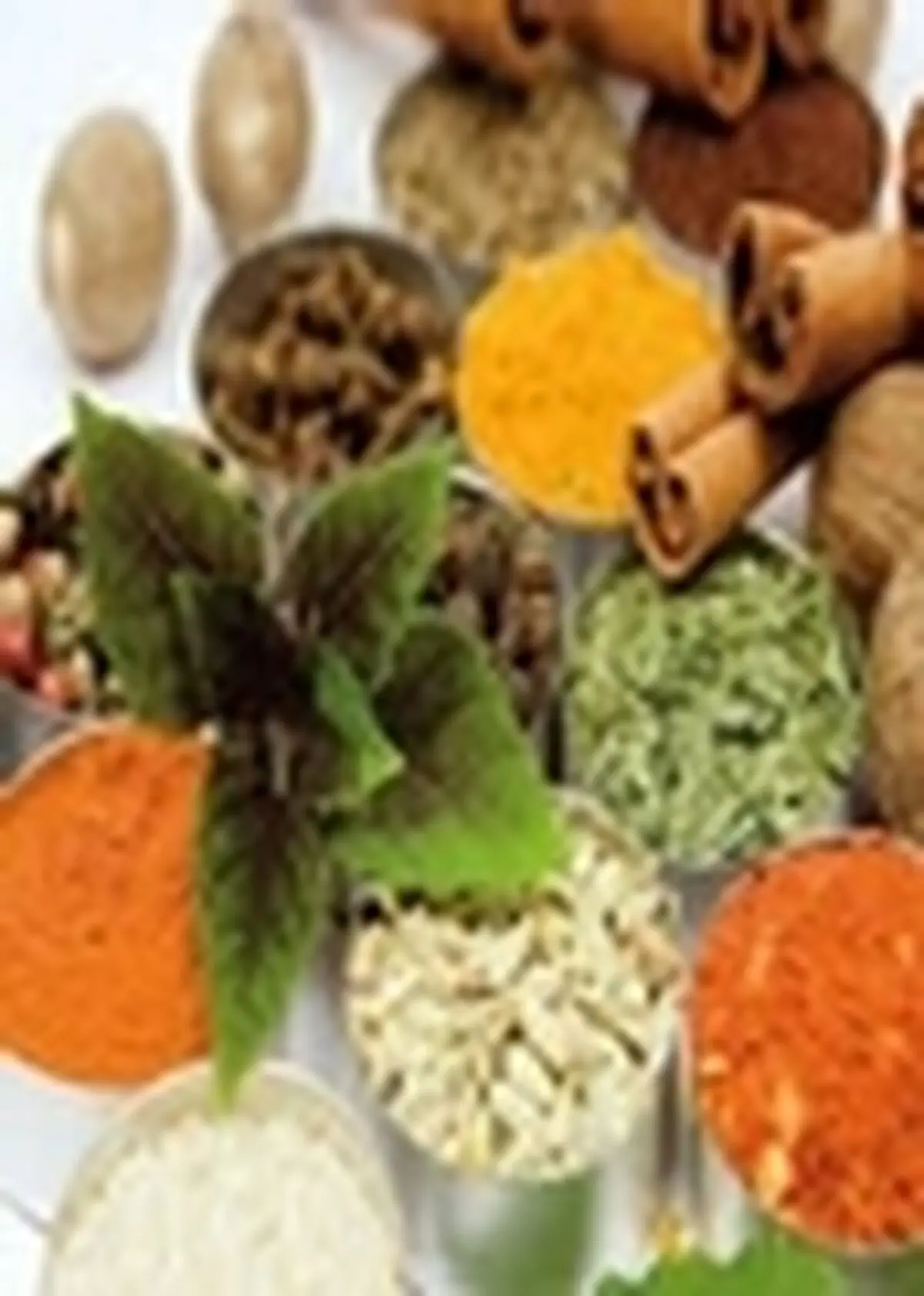 برگزاری نهمین جشنواره گیاهان دارویی و فرآورده های طبیعی در اصفهان