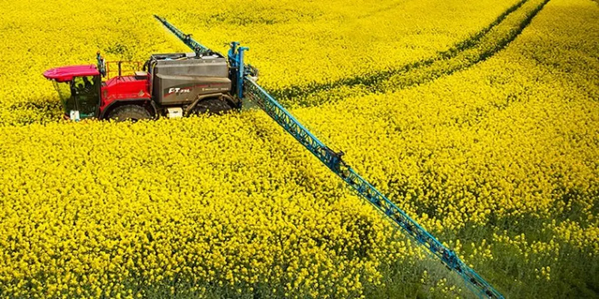 برداشت مکانیزه کلزا در شهرستان تایباد آغاز شد