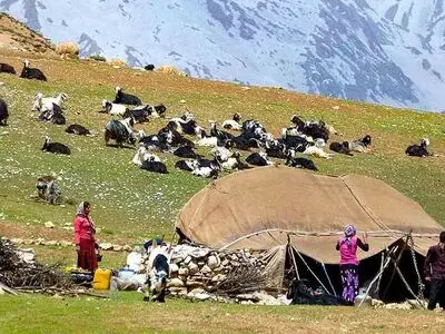 توسعه زیرساخت‌ها در مناطق عشایری مورد تاکید دولت سیزدهم/ تکریم عشایر باید در سرلوحه کار مدیران باشد