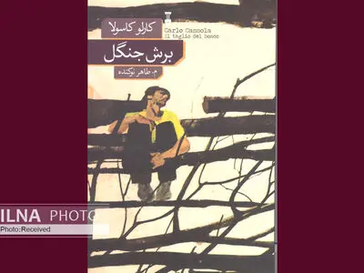 حکایتی از زندگی پنج مردِ چوب‌بُر در جنگل توسکانا