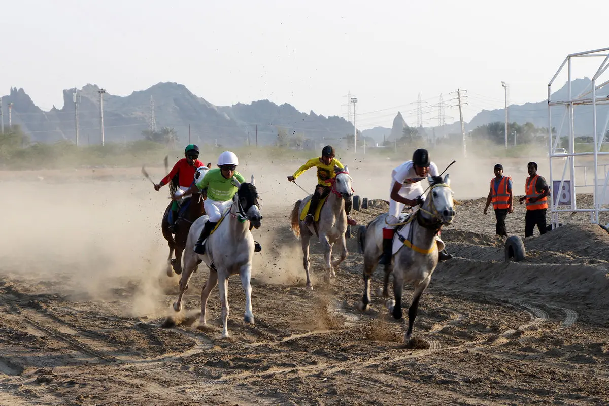 نهمین کورس اسب دوانی جنوب کشور برگزار شد