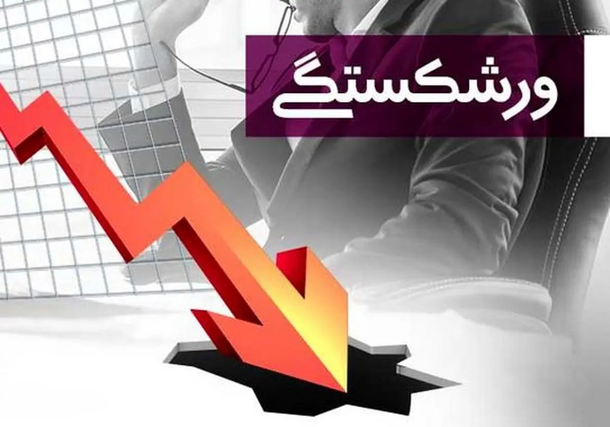 با برنامه‌ریزی می‌توان بن‌بست پرونده‌های ورشکستگی را شکست