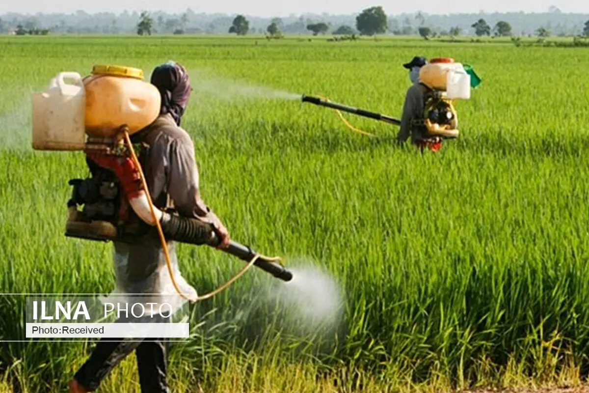  طرح پیش آگاهی برای چهار آفت مهم کشاورزی در قزوین اجرا می شود
